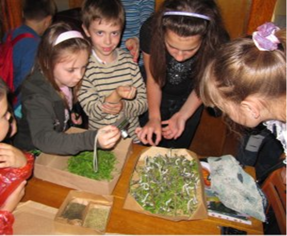 Новый рисунок (15)